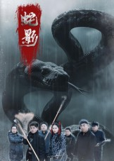 蛇影（25集）短剧最终章免费合集