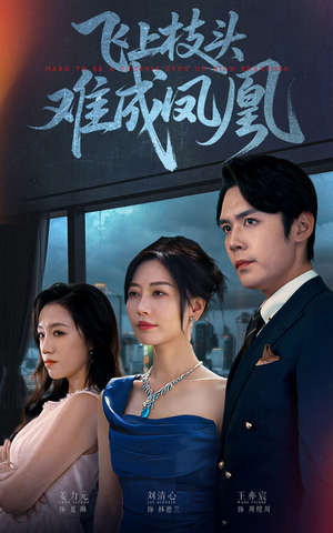 飞上枝头难成凤凰（47集）短剧上头一起来追