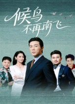 候鸟不再南飞（80集）好看又精彩的短剧