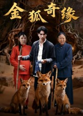 金狐奇缘（42集）每日更新短剧精彩片段