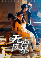 无声风暴（33集）好看又上头的短剧来了