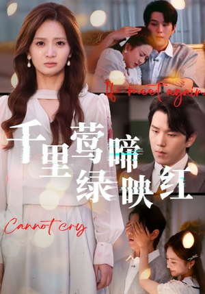 千里莺啼绿映红（63集）好看的短剧分享给大家