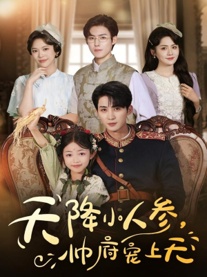 天降小人参，帅府宠上天（83集）短剧大结局全集解锁