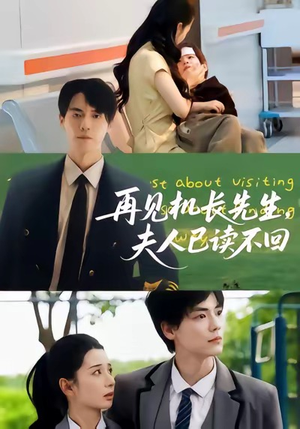 再见机长先生夫人已读不回（62集）热播短剧火爆来袭