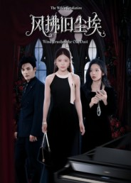 风拂旧尘埃（70集）热门短剧持续更新