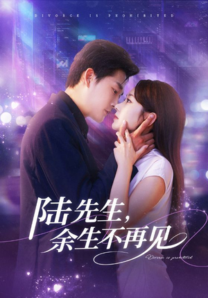 陆先生，余生不再见（88集）每日更新短剧精彩片段