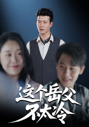 这个岳父不太冷（30集）短剧大结局全集特惠