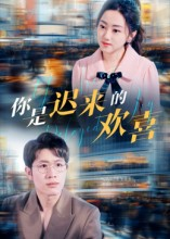 你是迟来的欢喜（93集）短剧经典全集任你选