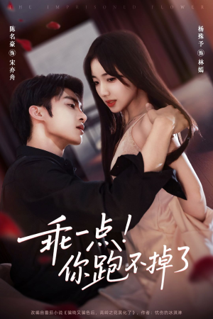 乖一点！你跑不掉了（85集）短剧全系列免费畅享