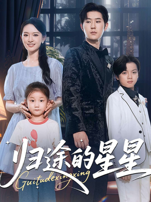 归途的星星（100集）每天更新最火短剧