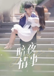 暗夜情事（100集）红果短剧免费看剧