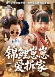 锦鲤崽崽爱拆家（80集）万里归乡短剧精彩剧情