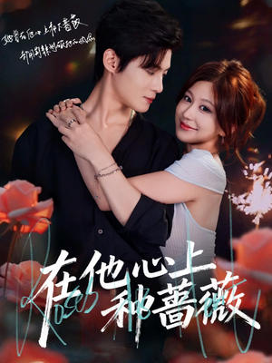 在他心上种蔷薇（81集）短剧分享精彩后续