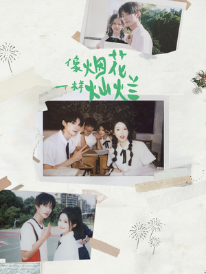 像烟花一样灿烂（60集）热门短剧每天更新