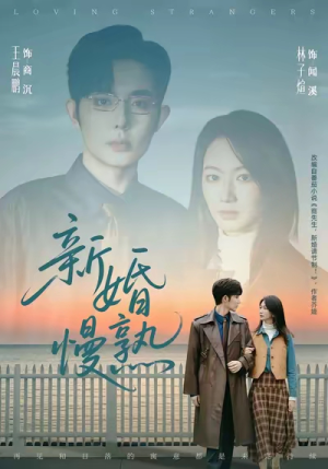 新婚慢熟（105集）更新短剧精彩不断