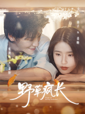 野草疯长（71集）好看的小短剧推荐