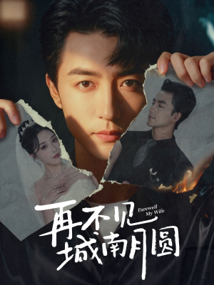再不见城南月圆（60集）短剧推荐超甜网剧
