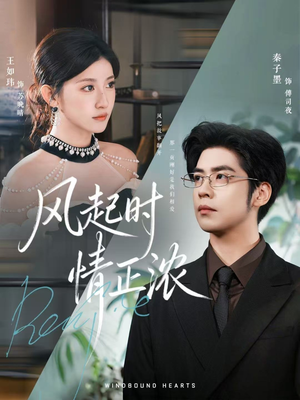 风起时情正浓（79集）精彩短剧不容错过