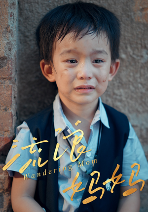 流浪妈妈（30集）好看的短剧分享给大家