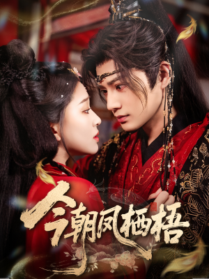 今朝凤栖梧（68集）最火爆的热门短剧