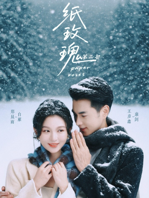 纸玫瑰第二部（80集）热门短剧推荐短剧片段