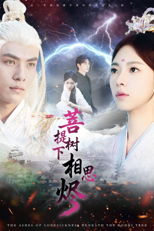 菩提树下相思烬（63集）短剧解说推荐好剧