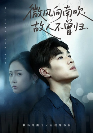 微风向南吹，故人不曾归（72集）短剧精彩不容错过