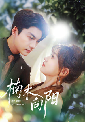 楠木向阳（70集）短剧宝藏全集限免看