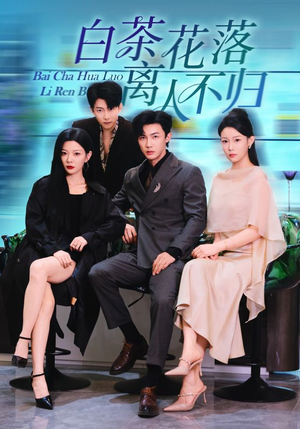 白茶花落离人（51集）好看短剧不容错过