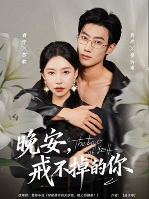 晚安，戒不掉的你（68集）短剧全集高清无码版
