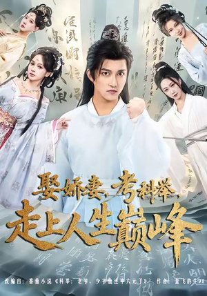 娶娇妻，考科举，走上人生巅峰（80集）全集短剧大结局抢先看