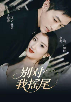 别对我摇尾（59集）短剧收官全集限免看