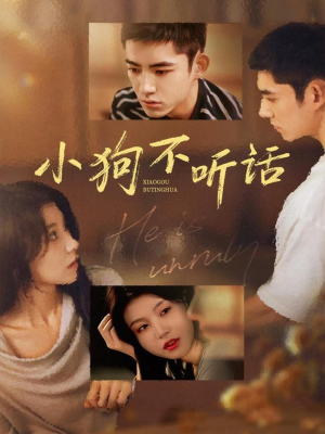小狗不听话（70集）精彩短剧继续更新