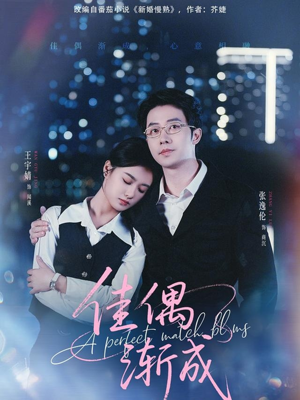 佳偶渐成（71集）热门短剧推荐精彩片段