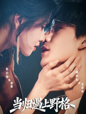 当归遇上野格(66集) 当归遇上野格(66集)短剧全集热力排行榜之一