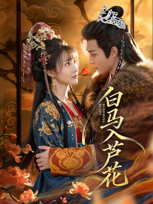 白马入芦花（59集）短剧免费看大结局