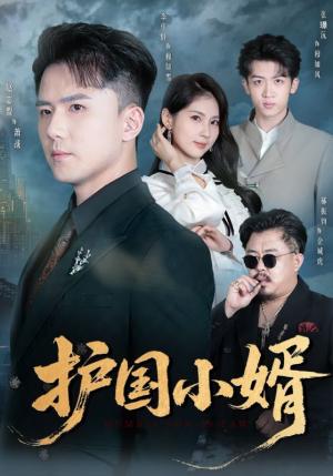 护国小婿（60集）短剧免费看大结局