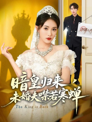 暗皇归来，未婚夫噤若寒蝉（65集）短剧来了抢先观看