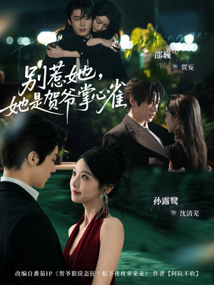 别惹她，她是贺爷掌心雀（69集）在红果短剧免费看全集