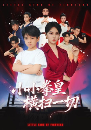 小小拳皇横扫一切（60集）短剧全集投屏大屏看
