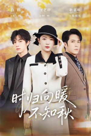 时归向暖不知秋（51集）好看的短剧同大家分享