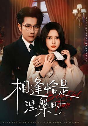 相逢恰是涅槃时（63集）热门短剧不停更新