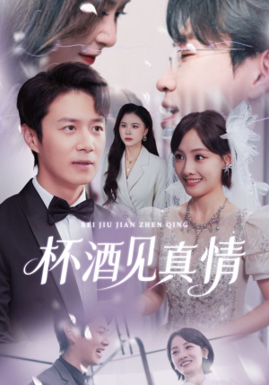 杯酒见真情（68集）短剧热播精彩片段