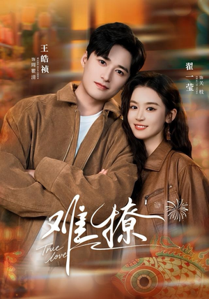 难撩（100集）短剧全系列永久免费