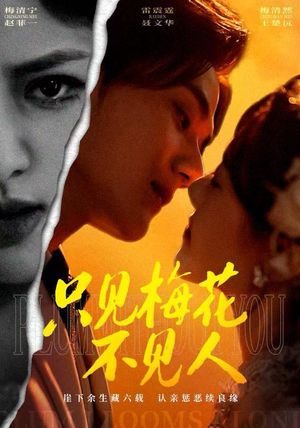 只见梅花不见人（63集）短剧全集高清无码版