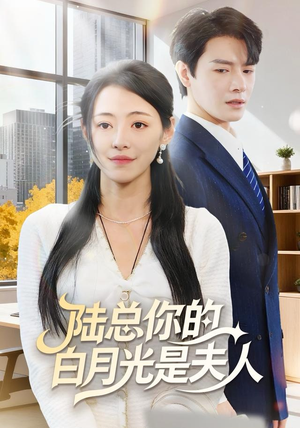 陆总你的白月光是夫人（51集）超好看的短剧一起追剧