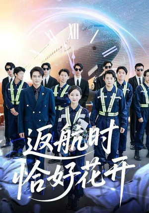 返航时恰好花开（101集） 悟空浏览器免费看短剧