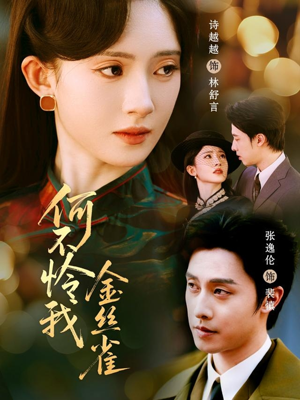 何不怜我金丝雀（60集） 短剧全集投屏大屏看