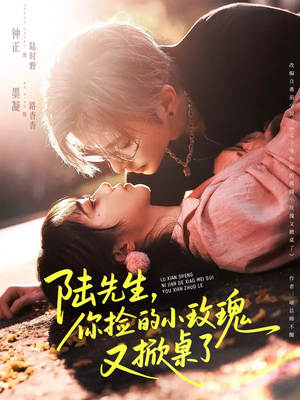 陆先生，你捡的小玫瑰又掀桌了（74集）好看又精彩的短剧来了