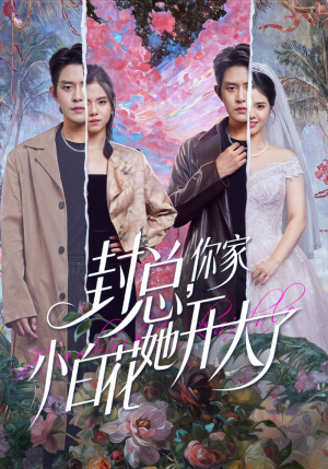 封总，你家小白花她开大了（60集）短剧完整版大结局